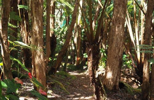 Volcano Teapot Cottage - Foto 6