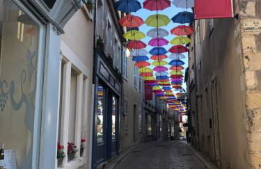 Grand studio centre historique Sancerre - Foto 30