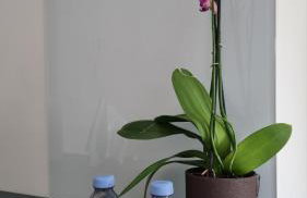 outsideIN Lightstudio - Photo 7