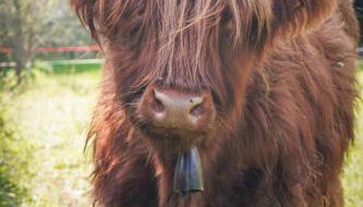 Lunigiana Experience - Foto 3