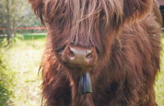 Lunigiana Experience - Foto 3