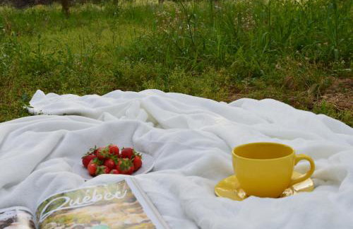 Holiday Home M&M - Foto 34