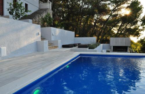 Vila Visnjic - Foto 71