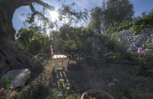 Trullo Paan in Ostuni - Foto 10