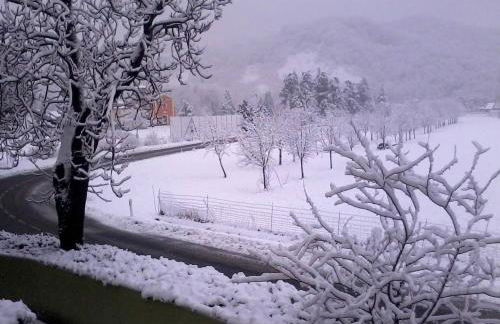 Elena Paternoster - Foto 14