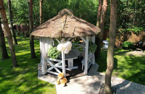 Modra Sikorka - Foto 46