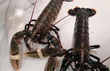 Villa "Keryoc'h" - Foto 43