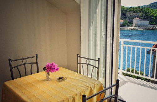 Ruzicin dvor - Photo 13