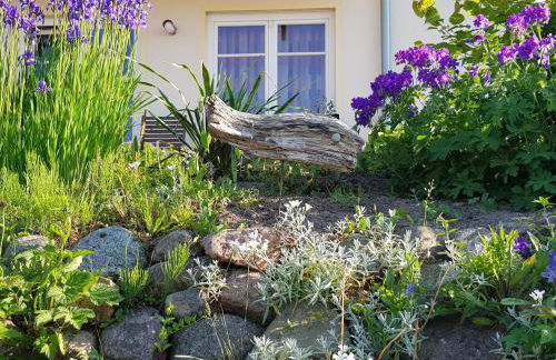 Über dem Meer - Foto 21