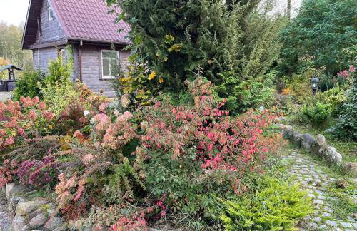 Drewniany Domek w Zakątku Andrzeje Śniczany 18 - Photo 58