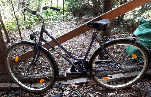 Blumenhaus - Foto 12