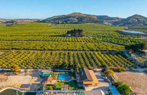 Finca Los Caleros - Algorfa - Foto 36