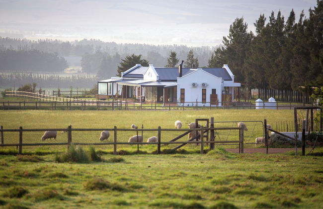 Raptor Rise - Foto 38