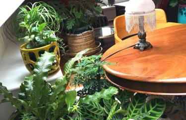 Urban Oasis in Hope Village - Foto 19