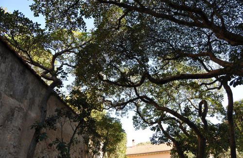 Villa Salvini - Foto 5