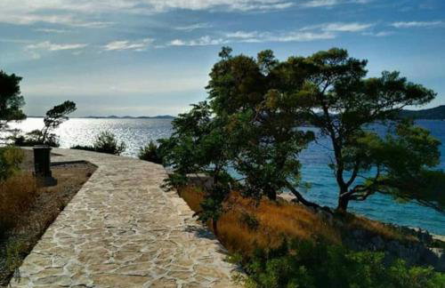 Apartments Tonći - Photo 17