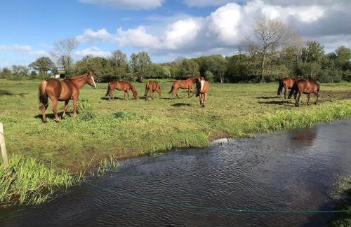 La Grange - unique property, peace, space & light - Foto 10