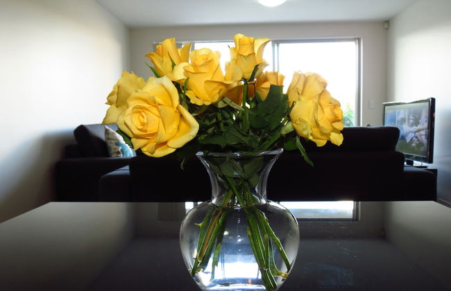 Nesuto Newhaven - Photo 37