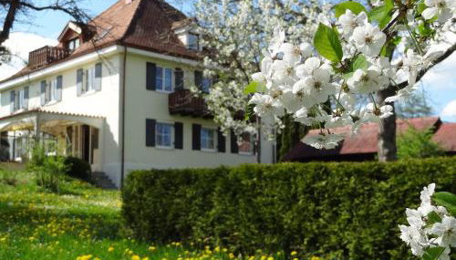 Landhaus Löwenzahn - Foto 2