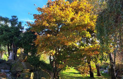 Brzozowy Zakątek - Foto 10