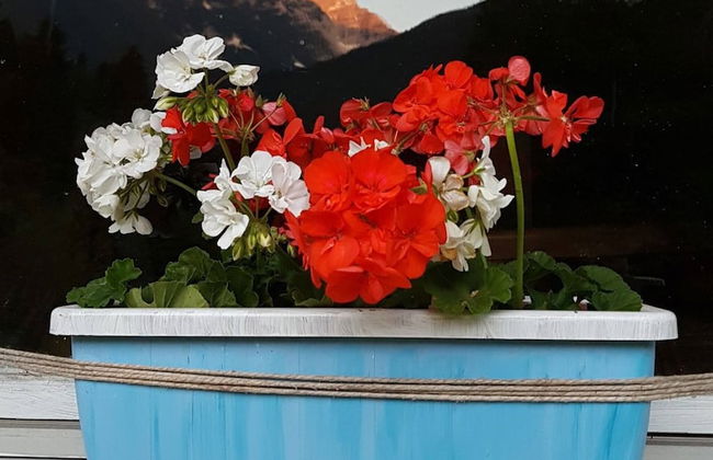 Soča Home With The View - Foto 33