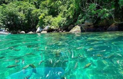 Carnaval Boat Tour - Photo 9