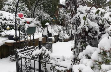 Haus Harzer Bergblick all inklusiv Sauna Whirlpool - Foto 56