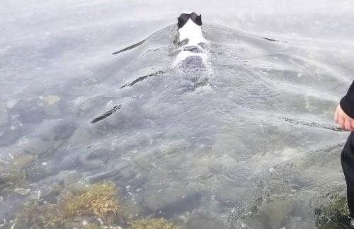 Lamoine Beach House - Foto 21