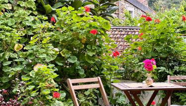 Stecadó - Appartamento Il Soppalco - Foto 2, Garden view