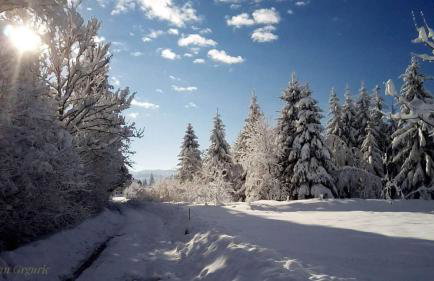 Zimski san - Foto 32