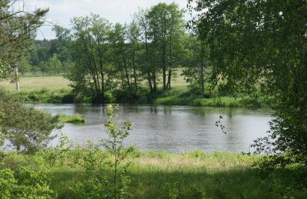 Osada Rycerska & Apartamenty Rycerskie - Foto 74