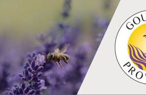 Villa en Provence piscine au calme entre Arles Nîmes Avignon - Foto 51