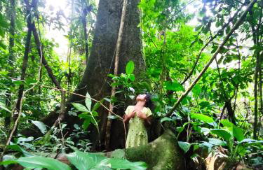 Cabana na Montanha - Photo 9