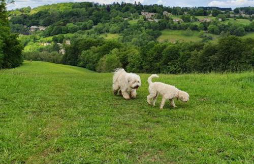 Stylish Town Centre Apartments - Foto 70