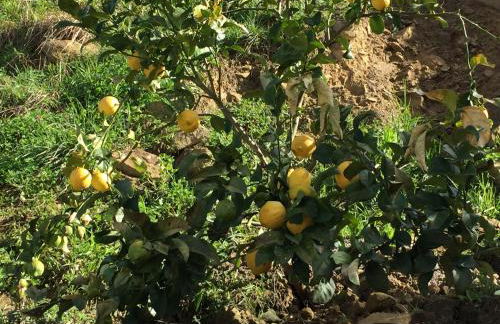 Agroturismo Itxaspe - Foto 103