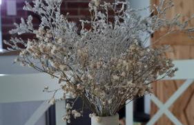 House Notturno - Photo 11