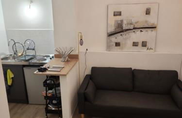 Appartement 2 pièces a 5 min du centre de Limoges - Foto 4