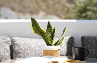 Apademia Skyros Luxury Apartment - Photo 34