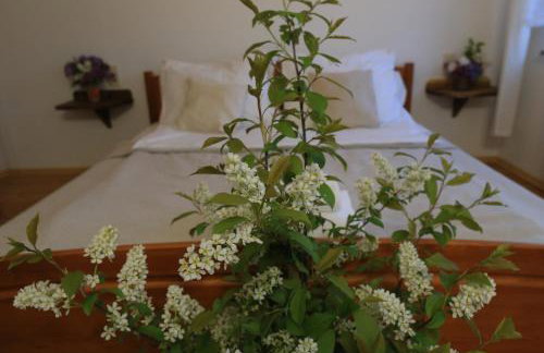 Agroturystyka Sikorki - Foto 16