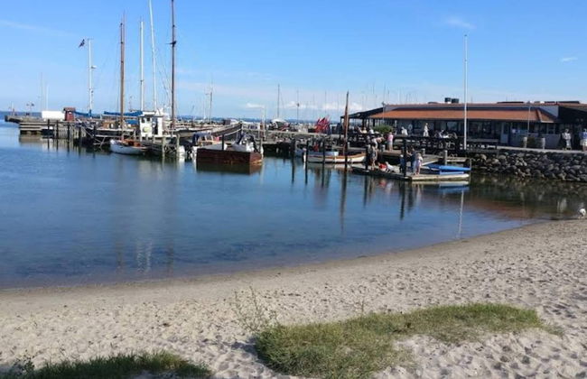 Tranquil Retreat at Overby Lyng-by Traum - Photo 35