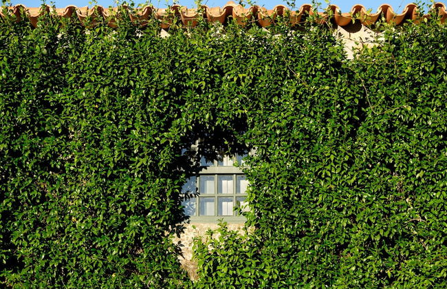 Cozy Mansion in Ponte de Lima With Pool - Foto 24