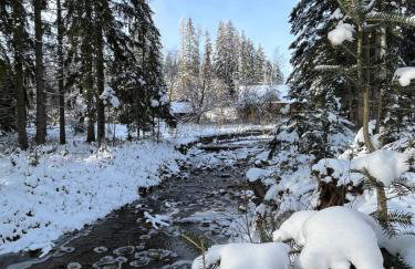 Agroturystyka Pod Modrzewiem - Babia Góra - Foto 10