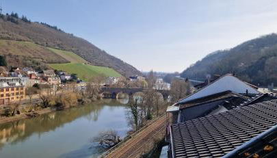 C- Schöne Wohnung in Bingen mit phantastischem Blick auf die Nahe, Fewo für Monteure - Foto 2
