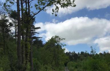 Flying Scotsman Unique Carriage Pet Friendly! Lazy Spa can be available upon request with additional cost of 40 - Foto 10