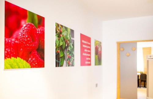 Residence Mille Montagne - Foto 64