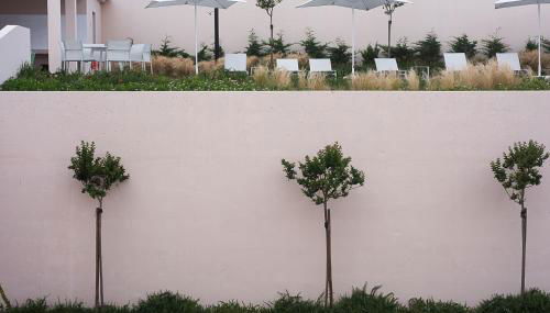 Vila Marta - Tentilhão - Photo 5, Garden