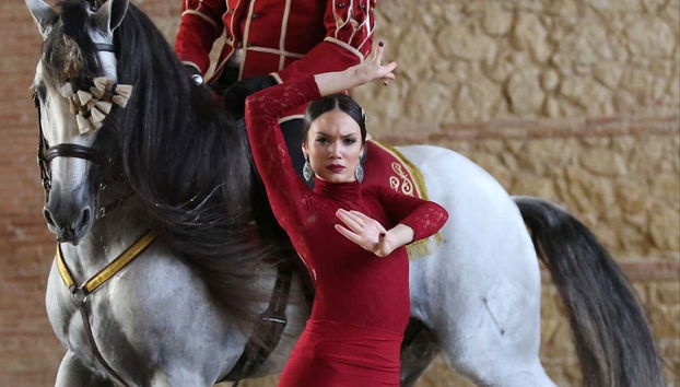 Spectacle équestre aux Écuries royales - Photo 4, L'art et la passion se confondent dans le spectacle