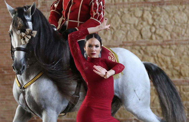 Spettacolo equestre alle Caballerizas Reales - Foto 4