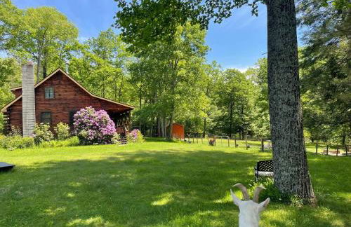 Log Cabin at the Goat Sanctuary - Foto 78