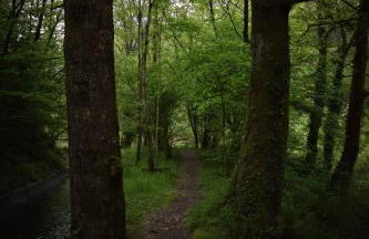 Apartamento Gibaja - Foto 40